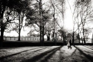 louisville wedding photographers