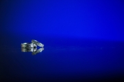 Weddings at the Ice House in Louisville 1318