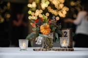 Boyer_0498