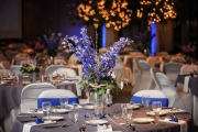Dahline_0493