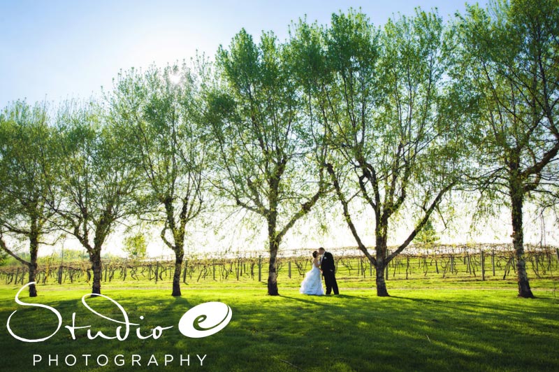 Wedding at Hubers Winery Indiana (21)