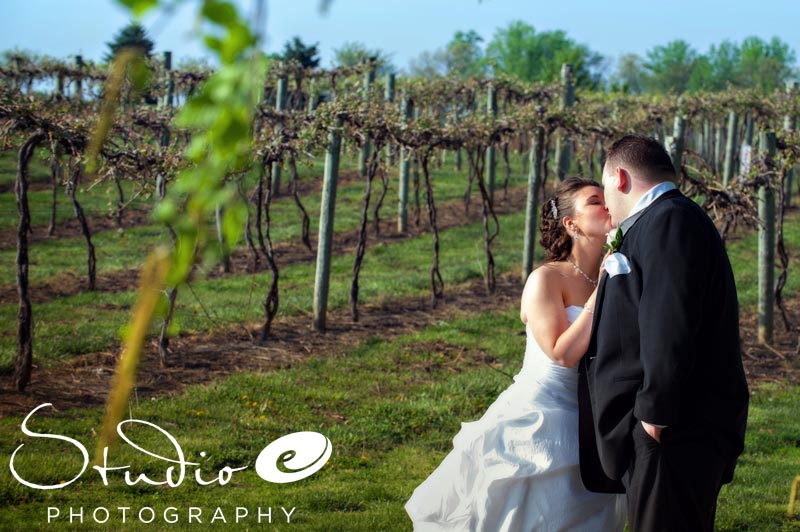 Wedding at Hubers Winery Indiana (23)
